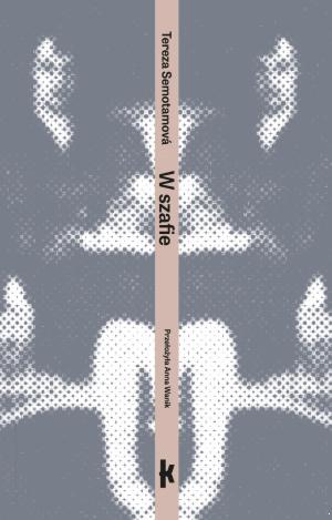 W szafie<br>(e-book)